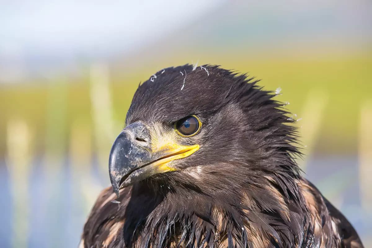 Image from excursion