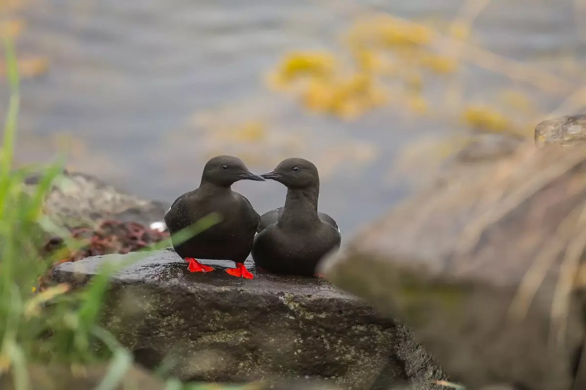 Image from excursion